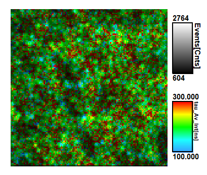 Laser Scanning Confocal Microscope System 3