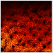 Laser Scanning Confocal Microscope System